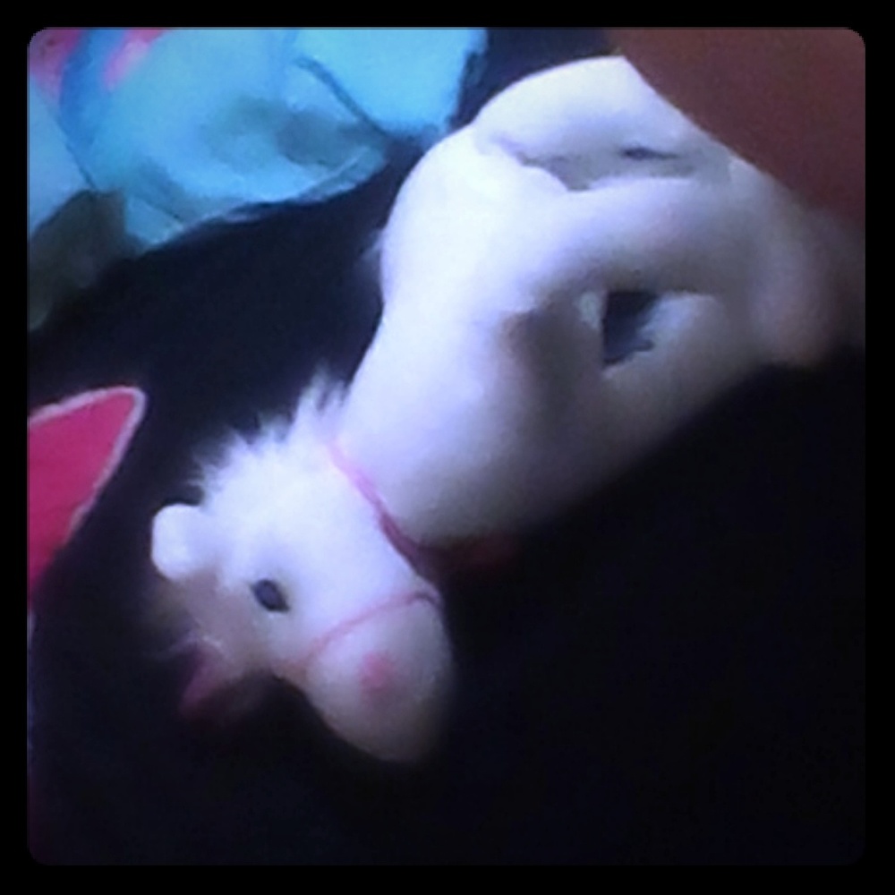 Unicorn plushie